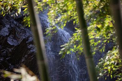 《开球！REMATCH》发售日期公布《师父》团队新作 